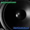 About Bass Boosted 2008 Song