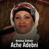 About Ache Adebni Song