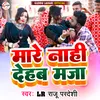 About Mare Nahi Dehab Maja Song