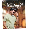 About Fizawaan Song