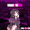 About SHADOWMIX Song