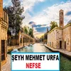 Nefse