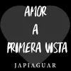 About Amor a Primera Vista Song