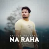 About Na Raha Mera Song