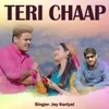 About Teri Chaap Song
