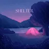 About Shelter Song