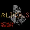 About Not Much Time Left Song