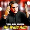 About Ali Wale Aan Song