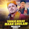 About Tuhnjo Nokar Maan Ghulam Song