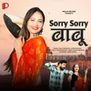 About Sorry Sorry Babu Song