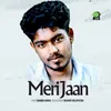 About Meri Jaan Song