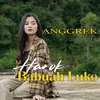 About Harok Babuah Luko Song