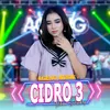 About Cidro 3 Song