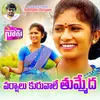 About Varshalu Kuravale Tummeda Song