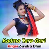 About Kadma Tare Gori Song