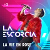 About La Vie En Rose Song