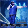 About Зима закружила Song