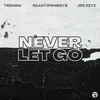 About Never Let Go Song
