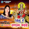 About Jagu He Jagdamb Bhawani Song