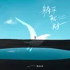 About 躺平就好 Song