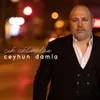 About Çık Aklımdan Song