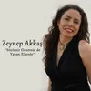 About Söylenir Gezersin de Yaban Ellerde Song