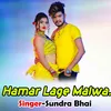 About Hamar Lage Malwa. Song