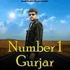 Number 1 Gurjar