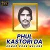 About Phul Kastori Da Song
