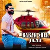 About Babar Sher Jaat Song