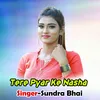 About Tere Pyar Ke Nasha Song