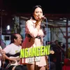 About Ngangeni Song