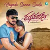 About Hayada Sanna Saalu Song