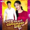 About Mor Heart Ke Damage Kalu Song