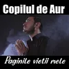 About Paginile vietii mele Song