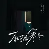 About 不可视寒冬 Song