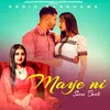 About Maye Ni Song