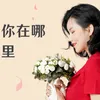 About 你在哪里 Song