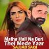 About Malha Hali Na Beri Thel Mede Yaar Song