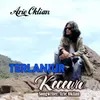 About Terlanjur Kecewa Song