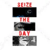 About Seize The day Song