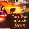 About Tere Bin Nhi ab Jeena Song