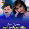 About Wah Jo Pyaar Kitoi Song