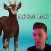 About Я Е БАЛ КОЗУ Song