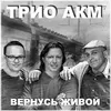 About Вернусь живой Song