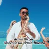 Maneaua lui Armin Nicoara