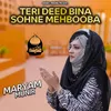 About Teri Deed Bina Sohne Mehbooba Song