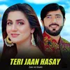 About Teri Jaan Hasay Song