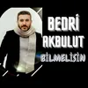 About Bilmelisin Song