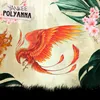 About Polyanna Song
